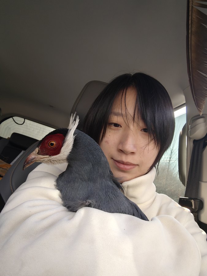 青辰
